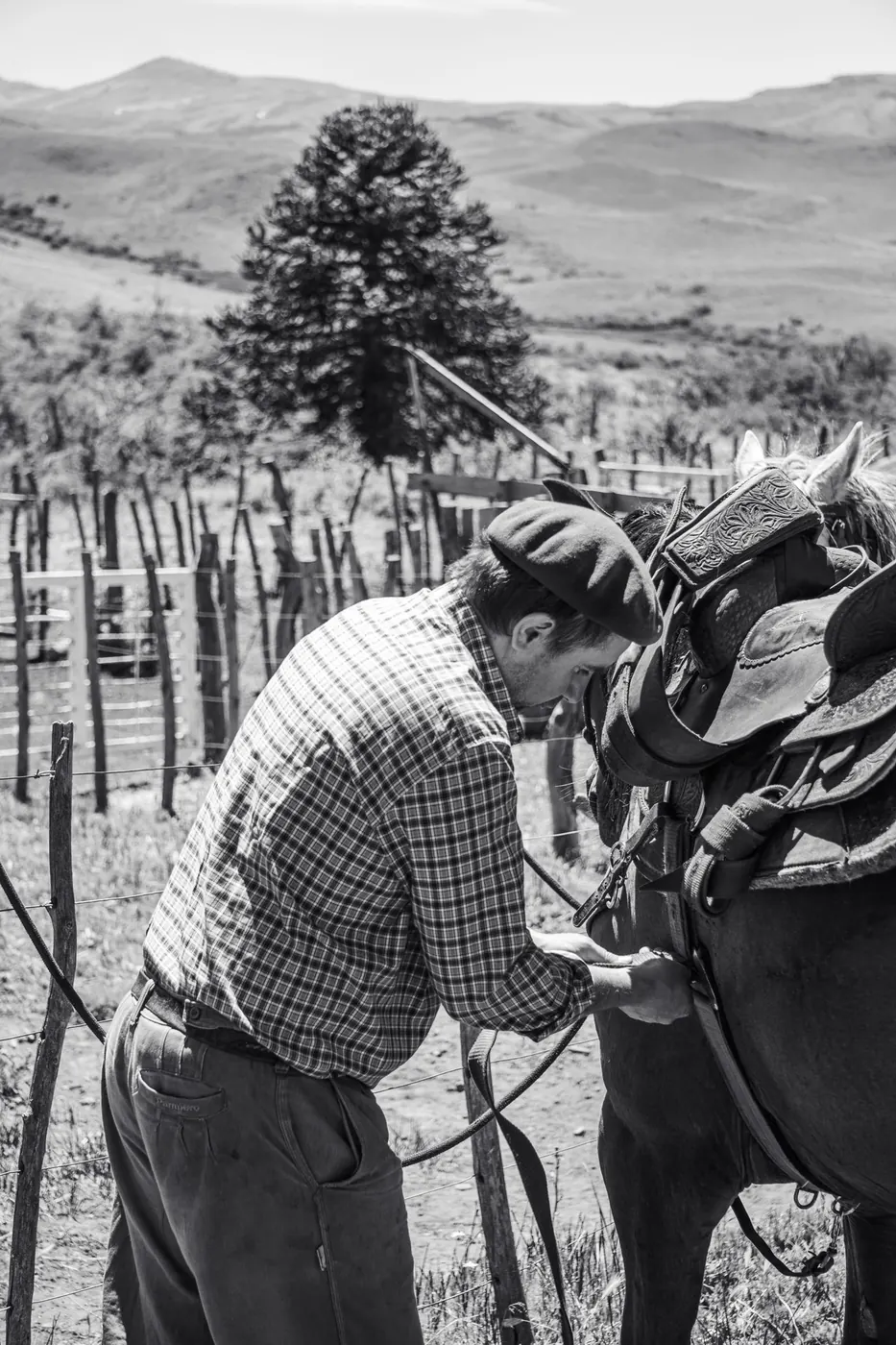 Horseback Expedition in Mountain Valley