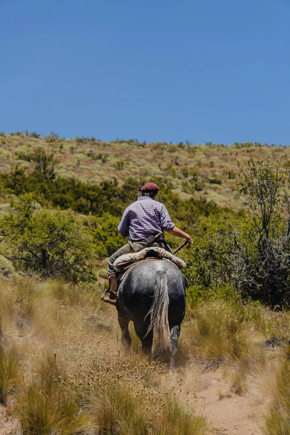 Gaucho Guide Leading the Trail
